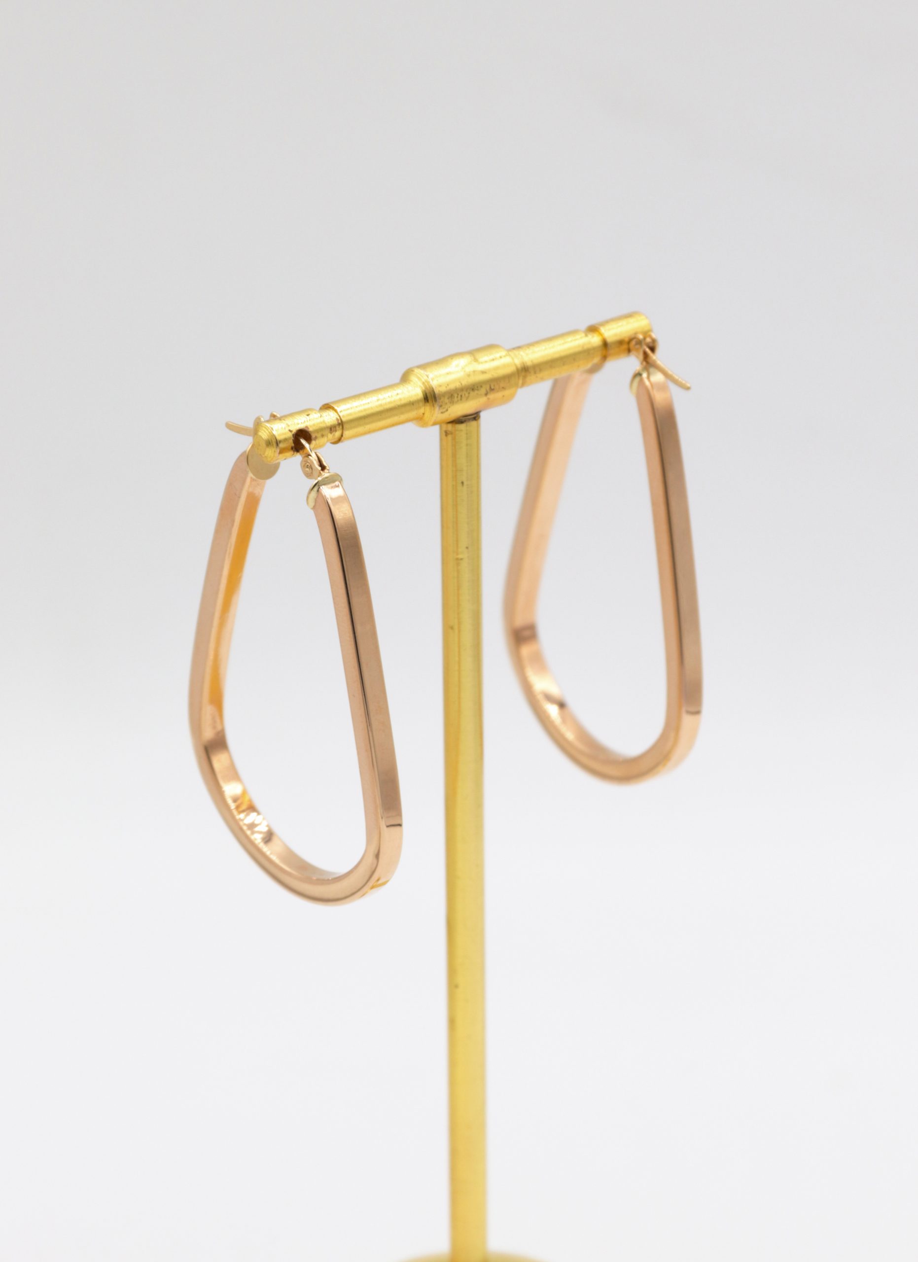 IMG_6825 copy گوشواره اینووا - Image 1