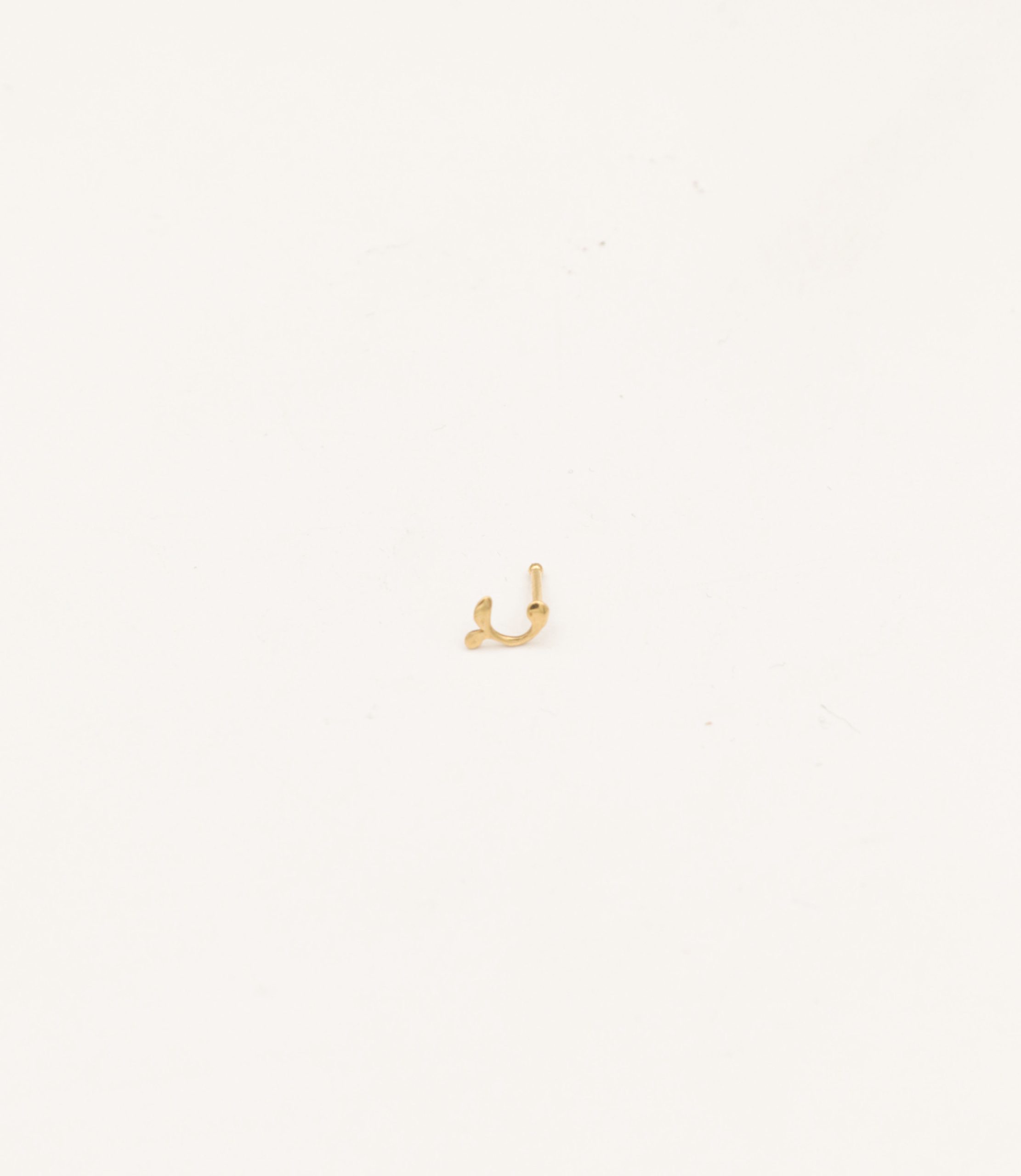 IMG_8115 copy پیرسینگ بینی - Image 1