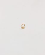 پیرسینگ بینی